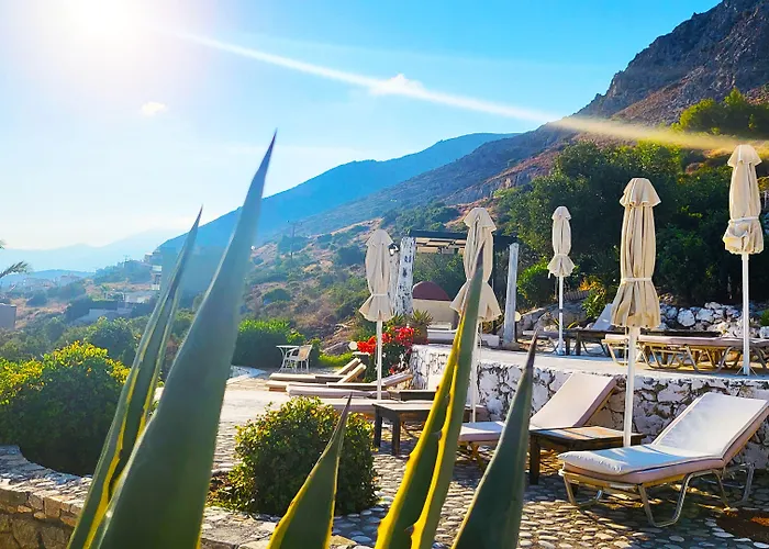 Senior Citizen In Blue *