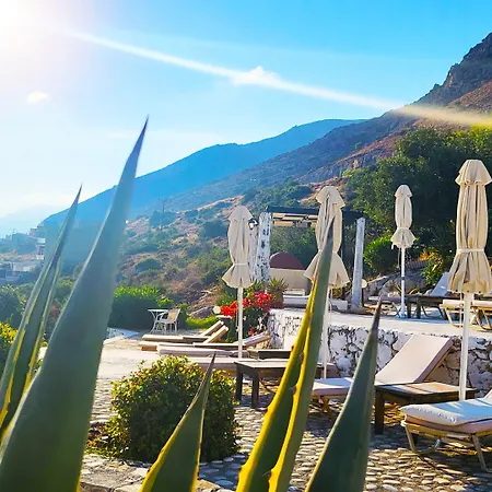 Senior Citizen In Blue *